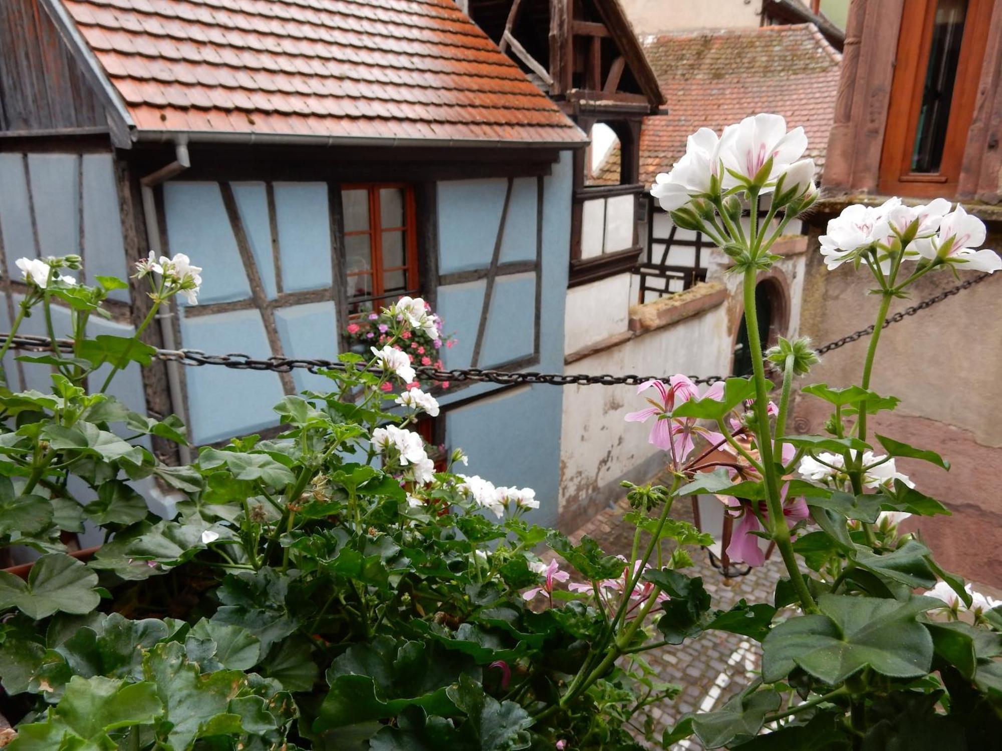 An Apartment In A 17Th Century Wine Grower S House Riquewihr Extérieur photo