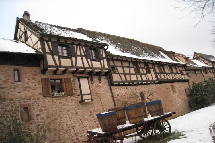 An Apartment In A 17Th Century Wine Grower S House Riquewihr Extérieur photo