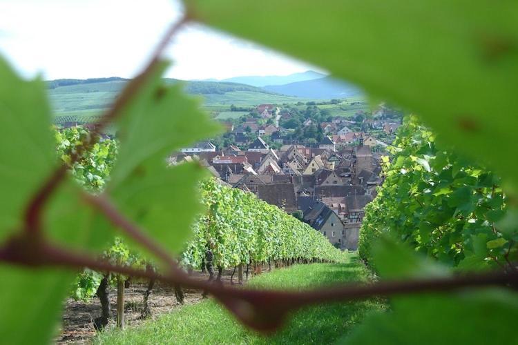 An Apartment In A 17Th Century Wine Grower S House Riquewihr Extérieur photo