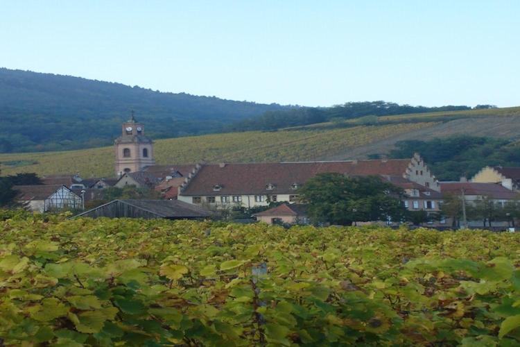 An Apartment In A 17Th Century Wine Grower S House Riquewihr Extérieur photo